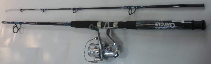 cardinal bruiser saltwater spinning combo